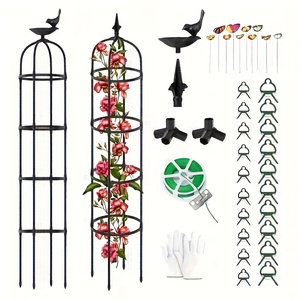 Traliccio Da Giardino Metallo 170cm | Obelisco Per Piante Rampicanti | Supporto Per Rose, Clematidi E Cetrioli | Nero - 4