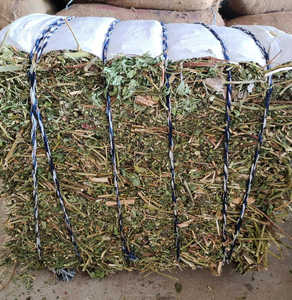 Polvo de extracto de hierbas Passiflora Incarnata de alta calidad cultivado en estado salvaje mejor Passiflora Incarnata DE LA India - Product Image 2