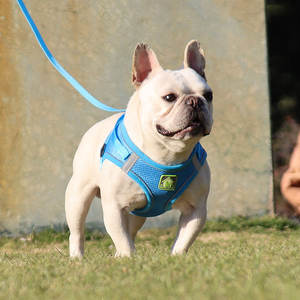 Upgrade Pet Harness Set Adjustable Breathable Dog <b>Vest</b> with Soft <b>Reflective</b> Chest Straps Washable Polyester for Cat Dog - Product Image 6