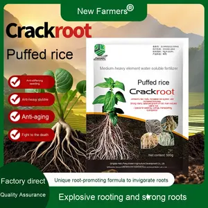 Сильный укорененный порошок Быстрый взрыв корня органическое удобрение сельскохозяйственное удобрение - Product Image 3