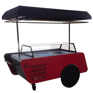 Carrito Móvil de Diseño Especial para Jugos, Hot Dogs, Helados y Paletas - Product Image 5