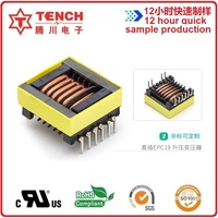 EPC19 6 + 4 transformateur haute fréquence 6-slot boost pulse Transformer