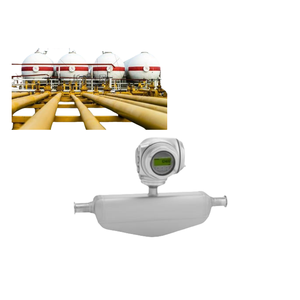 Débitmètre Coriolis Endress+Hauser Proline Promass S 300 pour la mesure du niveau de stockage d'huile, instrument de mesure d'huile personnalisé - Product Image 3