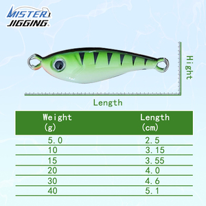 MISTER <strong>JIGGING</strong> Hot Sale 5g 15g 20g 30g Metal Lead Jig Fishing Lure Manufacturing Saltwater Long <strong>Cast</strong> Jig Lure - Product Image 4