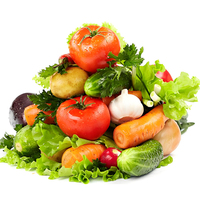 Déshydrateur de légumes commercial de haute qualité et à haut rendement pour la restauration
