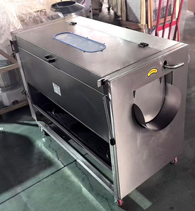 Machine commerciale de lavage et de pelage pour légumes ronds (carottes, pommes de terre, manioc, gingembre) avec brosse de nettoyage - Product Image 5