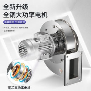 YN5-47 Small Industrial Stainless Steel Centrifugal Fan High Temperature Resistant Industrial <b>Smoke</b> & Dust Exhaust Customizable - Product Image 2