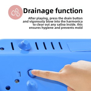Organo a bocca Feifan a 32 tasti per studenti, con custodia rigida, ideale per l'insegnamento in classe, per principianti e per performance, vendita all'ingrosso, include strumento musicale con boccaglio - Product Image 2