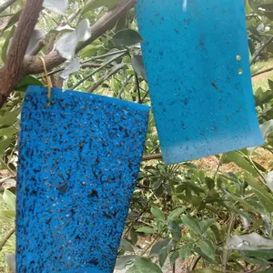 Invernadero Papel de doble cara Control de plagas Asesinos pegajosos Tablero adhesivo especial azul
