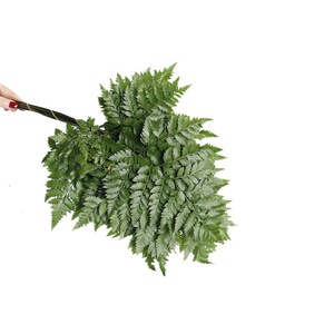 Petites feuilles de fougère préservées, colorées et attrayantes, avec tige, pour la décoration florale de jardin et de Noël - Product Image 1