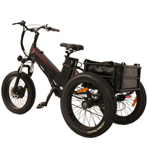 Tilting Electric Trike 