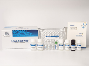 Kit <span class=keywords><strong>ELISA</strong></span> QuicKey Pro Rat VCAM-1/CD106 (Molécule di Adesione Cellulare Vascolare 1) - Product Image 3