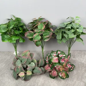 DKB装饰花卉花圈和植物多汁阿格诺玛室内植物软叶植物花束