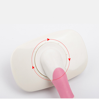 Vente en gros de peigne à poils pour petits animaux de compagnie, brosse à lisser en acier inoxydable et en plastique pour petits animaux de compagnie, prix d'usine