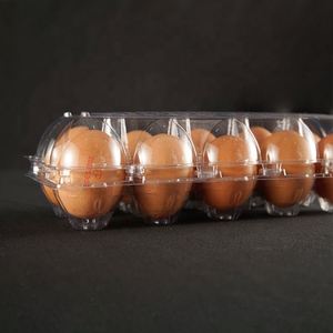 กล่องใส่ไข่ 10 หลุม วัสดุ PET โปร่งใส เป็นมิตรกับสิ่งแวดล้อม ถาดบรรจุไข่ไก่ขนาดใหญ่ พร้อมตัวอย่างฟรี - Product Image 3