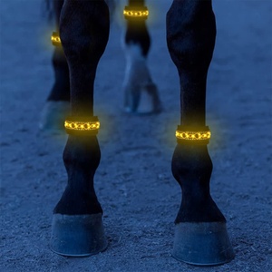 Bande lumineuse <span class=keywords><strong>pour</strong></span> cheval, qui brille dans <span class=keywords><strong>la</strong></span> <span class=keywords><strong>nuit</strong></span>, avertissement sécurité, <span class=keywords><strong>accessoires</strong></span> d'équitation, flash, en Nylon - Product Image 3