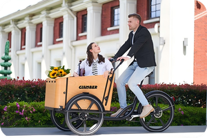 Vélo <span class=keywords><strong>cargo</strong></span> électrique 8 vitesses à prix d'usine, 250W, 3 roues, avec batterie 36V, stock Europe - Product Image 5