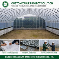 Serre tunnel de protection des cultures pour tomates, concombres, fraises et pépinières de fleurs