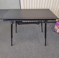 Table de camping pliante, table d'extérieur pour grillades, table de pique-nique