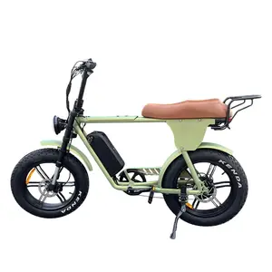 Lantu Ebike OEM 48v 500w 750w 1000w motor beach cruiser electric fat tire bike with rear rack