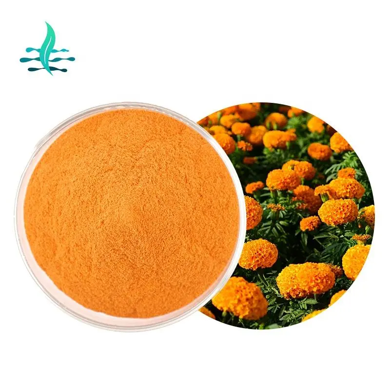 Chất lượng cao nước hòa tan số lượng lớn xanthophyll Cúc Vạn Thọ hoa chiết xuất Lutein Zeaxanthin bột 5% 10% 20%