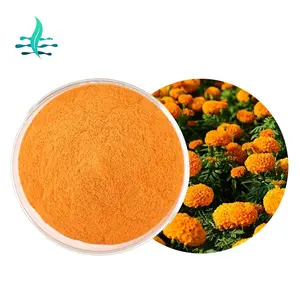 Yüksek kaliteli suda çözünür toplu Xanthophyll Marigold çiçek Lutein özütü zeaksantin tozu 5% 10% 20%