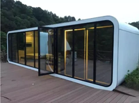 Villa modulaire préfabriquée en acier et bois de 20 et 40 pieds de Chine, Tiny House, Cabine Apple, Design moderne pour Hôtel, École, Bureau