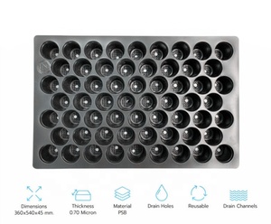 Hot Bán Nhựa 104 Lỗ Nhựa Hạt Giống Tế Bào Khay Cho Dưa Hấu Thái Lan - Product Image 2