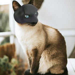 Black Bat Cat Avenger Mask 9/10/11/12/13cm Pet Cat Dog Mask Decoración 3 colores Bat Cat Cosplay para Halloween o diversión diaria - Product Image 5