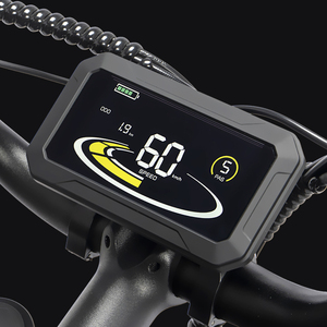 Bicicleta Eléctrica Pro30 de 20 Pulgadas Todoterreno, 52V 40Ah, Batería Doble, Motor Doble, Neumáticos Anchos, Suspensión Completa, Frenos Hidráulicos Dobles, Largo Alcance - Product Image 2