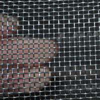 Maille métallique en acier inoxydable 304, 10, 25, 100 microns, en rouleau, pour fenêtre 11x11, moustiquaire, filtre en tissu et grillage anti-oiseaux