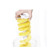 Roestvrijstalen Ananas Buiter En Dunschiller Met Steelverwijderingsmessen Voor Het In Blokjes Snijden Van Fruitringen En Groentegereedschap