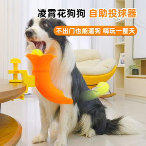 Pet toys, self-service <b>ball</b> <b>thrower</b> for <b>dogs</b>, a great way to keep your <b>dog</b> entertained and burn energy during walks. - Product Image 3