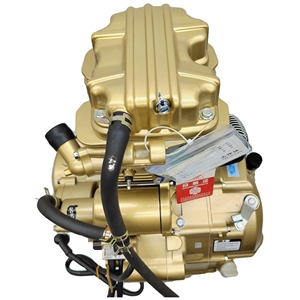 Triciclo de Tres Ruedas con Motor de Motocicleta de 200 CC, ATV CG200, Motor Monocilíndrico de 4 Tiempos Refrigerado por Agua, Motocicleta Todoterreno - Product Image 6