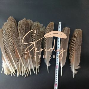 Producto de Artesanía con Plumas de Primera Calidad, Excelente Calidad, Precio Razonable, Alas de Pavo Real Natural Moteadas de 30-35 cm en Venta - Product Image 2