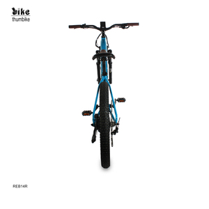 Vélo électrique Bafang 1000W à moteur central avec écran LCD pour adultes, 48V, pneus larges, écran couleur - Product Image 4