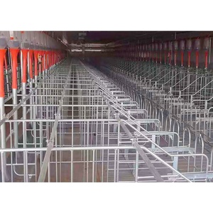 Équipement <span class=keywords><strong>d</strong></span>'<span class=keywords><strong>élevage</strong></span> : Cages de mise bas galvanisées pour truies, enclos de gestation pour truies, barres de localisation et colonnes de limitation - Product Image 6