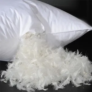 Пуховое одеяло, оптовая продажа, высокое качество, белые вымытые гусиные перья и пух