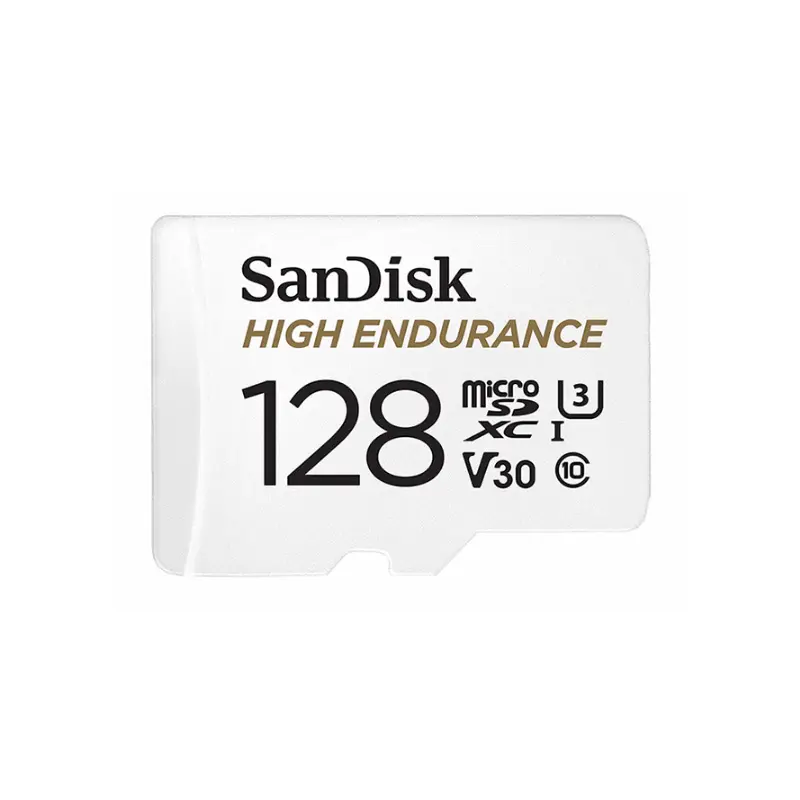 100% orijinal SanDisk yüksek dayanıklılık 100 MB/s 32GB 64GB 128GB 256GB bellek mikro SD kart