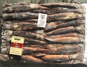 Mực Illex Đông Lạnh 200-300G - Product Image 6