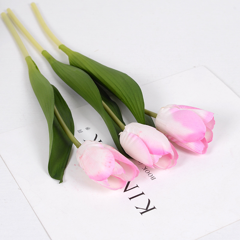 Pink-Green