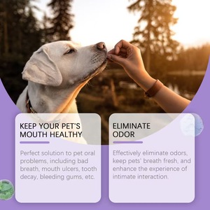 Spray Bucal para Mascotas 50ml, Agua para Refrescar el Aliento de Perros y Gatos, Higiene Dental con Fórmula Desionizada - Product Image 2