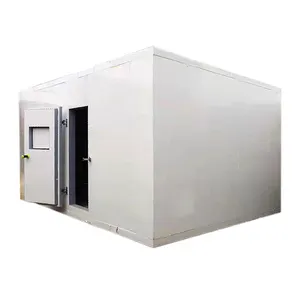 Commercial Factory Price Cold Storage Freezing Blast Freezer Room For Potato Meat,Fish,Chicken,Seafood With Refrigeration Unit