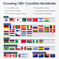 Carte SIM Spionlink 250 SMS 500 Mo de Données Europe Positionnement Global Roaming IoT M2M Cartes SIM Internationales pour Traceur GPS