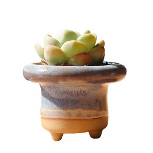 Maceta de Cerámica Vintage de Gran Calibre para <span class=keywords><strong>Suculentas</strong></span> <span class=keywords><strong>Echeveria</strong></span>, Esmaltada al Horno, Transpirable, Biodegradable, Tamaño Extra Grande - Product Image 5