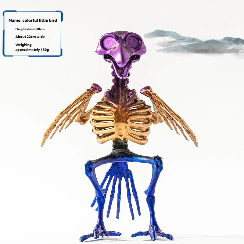 Oiseau coloré