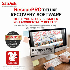 100% Original Wholesale for Ultra TF <b>Memory</b> <b>Cards</b> 32GB and 64GB Bulk Purchases QXA1/ QUAR/ QXCZ/ QXFN/ QQNR Serie Longyexing - P - Product Image 2