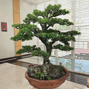Bonsai di Pino Artificiale Verde da Interno, Altezza 60cm, in Fibra di Vetro, Vendita all'Ingrosso - Product Image 6