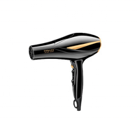 Grosir X5 6000W 5000W blower rambut cepat kering dengan nosel salon kecantikan AC pengering rambut Motor