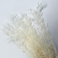 DIY diawetkan dengan bahan multiwarna Penta Lanceolata dalam persediaan grosir dengan harga rendah